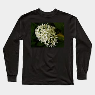 Garlic Long Sleeve T-Shirt